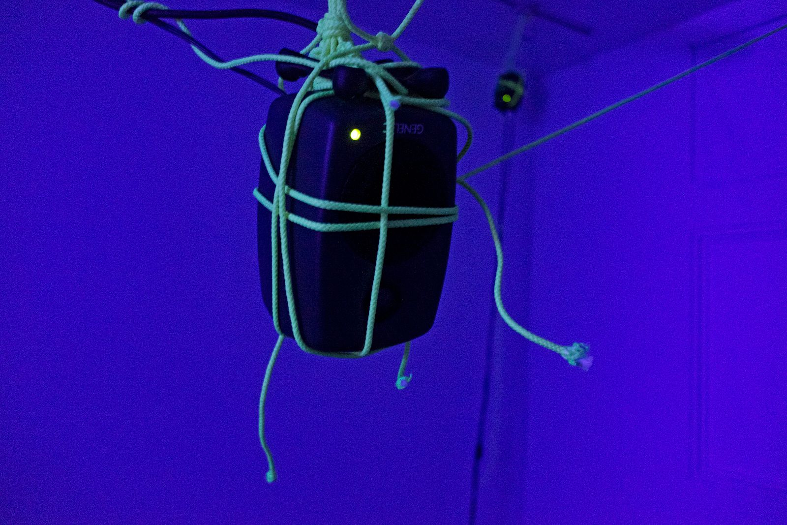 rp8
